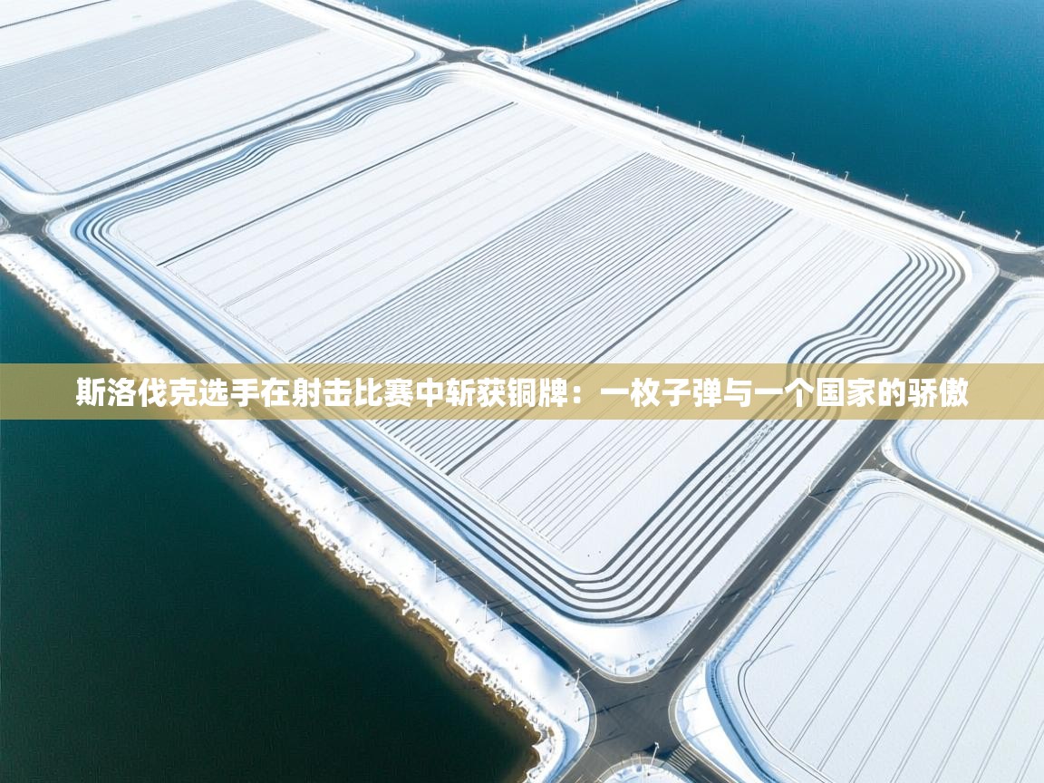 斯洛伐克选手在射击比赛中斩获铜牌：一枚子弹与一个国家的骄傲  第1张