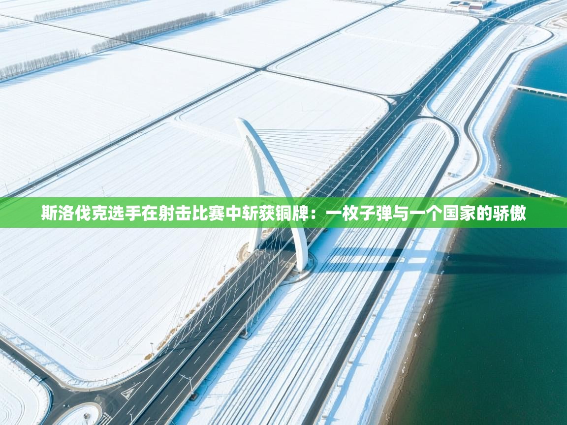 斯洛伐克选手在射击比赛中斩获铜牌：一枚子弹与一个国家的骄傲  第2张