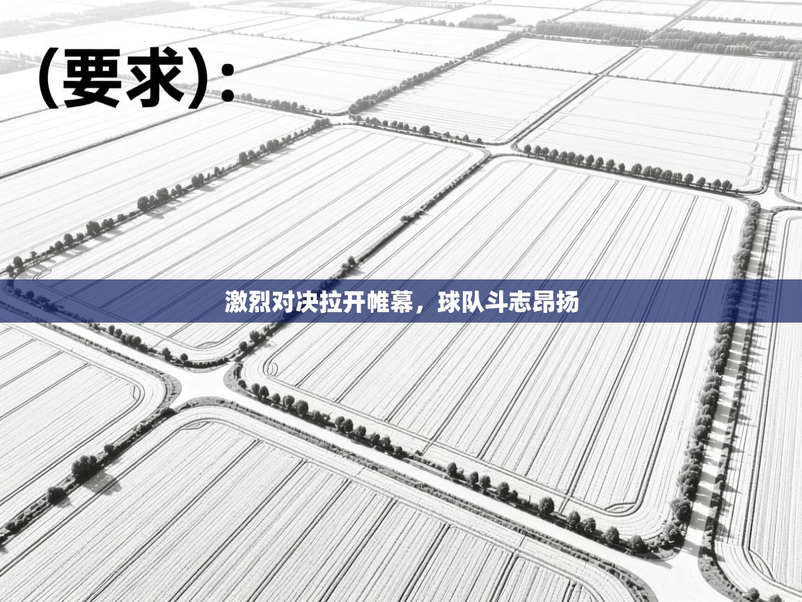 激烈对决拉开帷幕,球队斗志昂扬 第1张