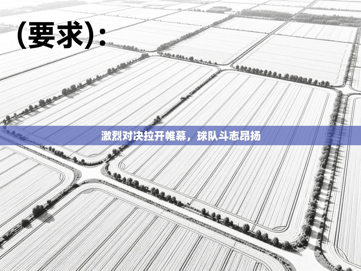 激烈对决拉开帷幕,球队斗志昂扬 第2张